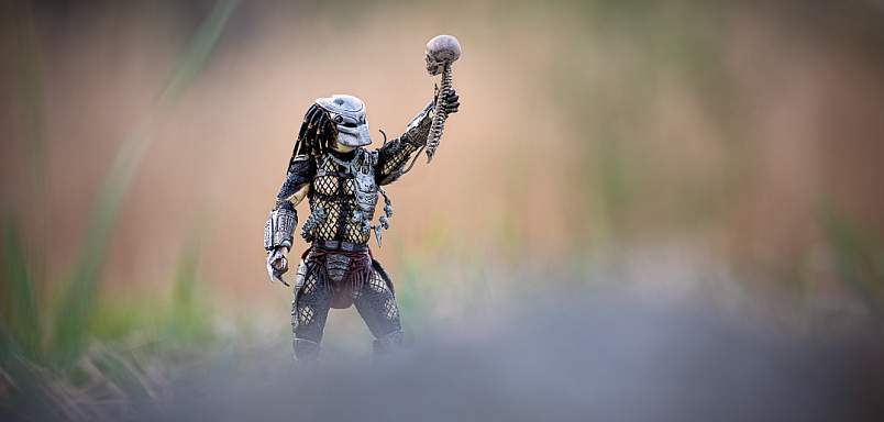 Classic Predator