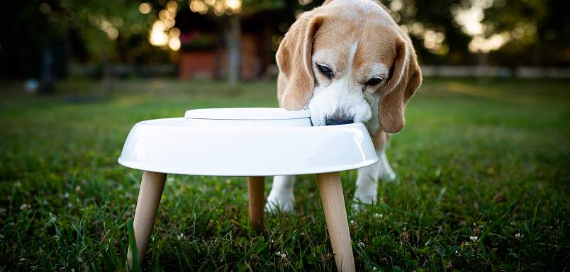 Bubla a miska Eatee Bowl