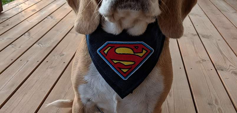 Superpes Bubla