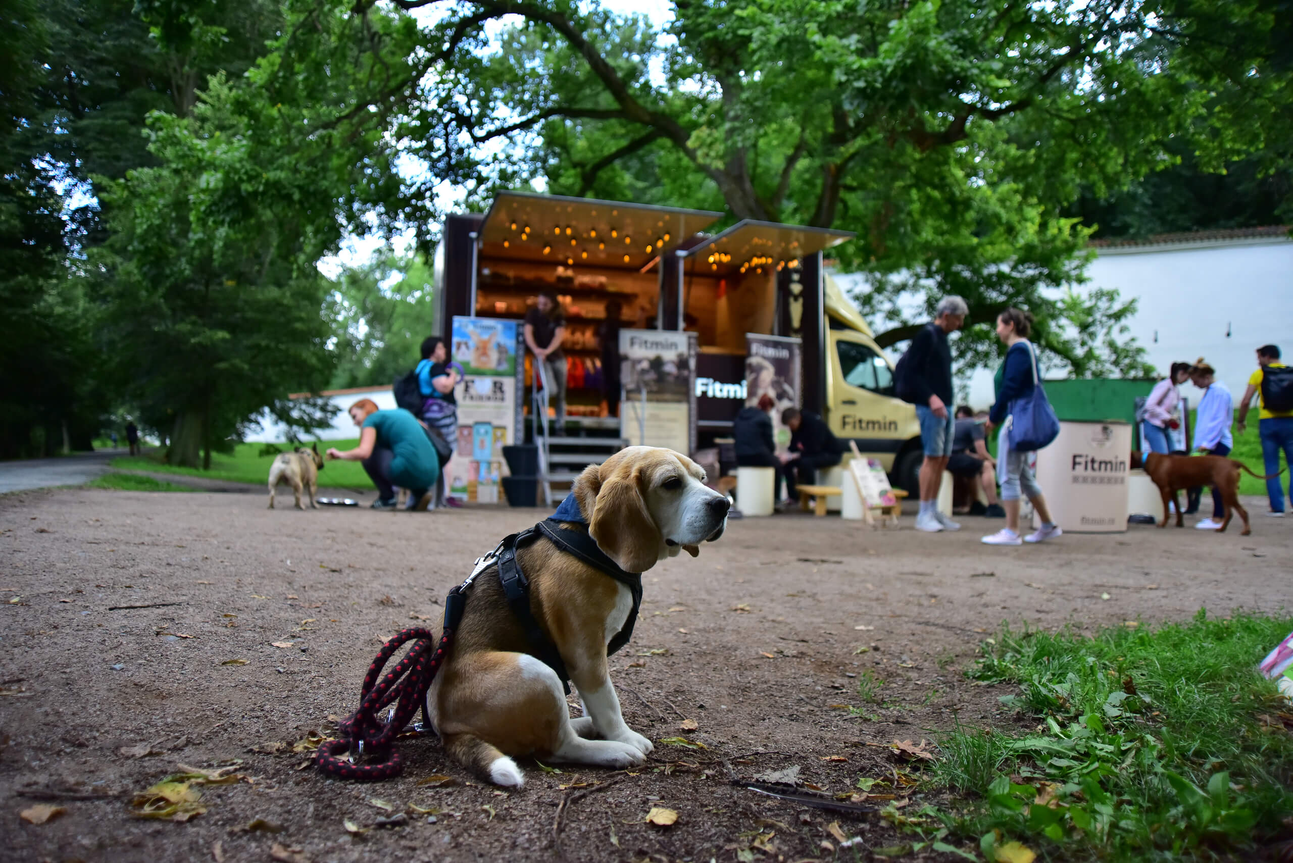 Restaurace Fitmin #4