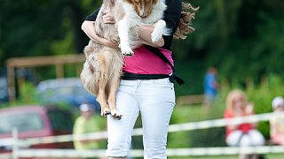 7. mistrovství ČR v dogfrisbee