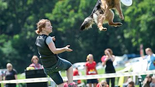 7. mistrovství ČR v dogfrisbee