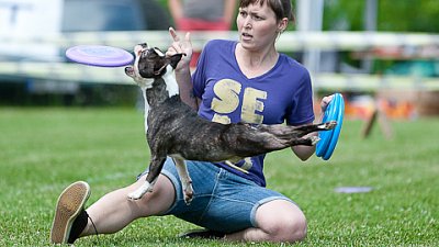 7. mistrovství ČR v dogfrisbee
