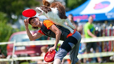 7. mistrovství ČR v dogfrisbee
