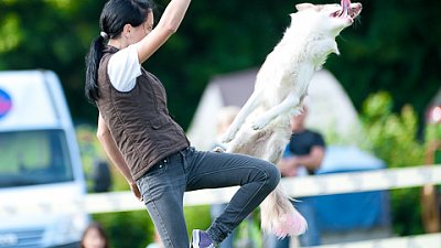 7. mistrovství ČR v dogfrisbee