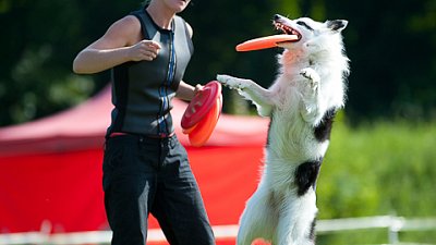 7. mistrovství ČR v dogfrisbee