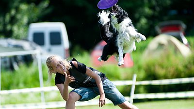 7. mistrovství ČR v dogfrisbee
