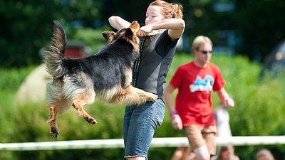 7. mistrovství ČR v dogfrisbee
