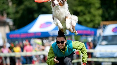 7. mistrovství ČR v dogfrisbee
