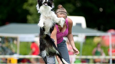 7. mistrovství ČR v dogfrisbee