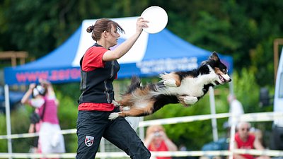 7. mistrovství ČR v dogfrisbee