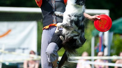 7. mistrovství ČR v dogfrisbee
