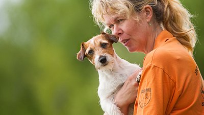SIRIUS pejskaření aneb Hopsání po cvičišti 2014