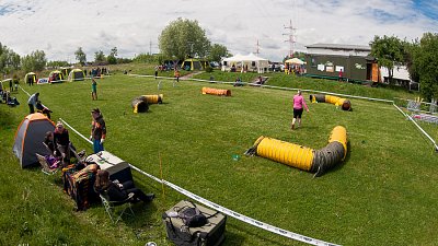 SIRIUS pejskaření aneb Hopsání po cvičišti 2014