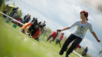 SIRIUS pejskaření aneb Hopsání po cvičišti 2014