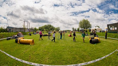 SIRIUS pejskaření aneb Hopsání po cvičišti 2014