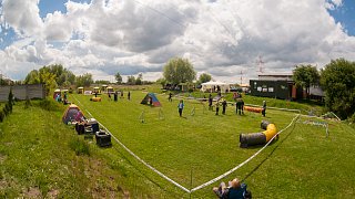 SIRIUS pejskaření aneb Hopsání po cvičišti 2014